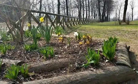 Hotell Cascina Govean 3*